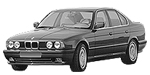 BMW E34 P250A Fault Code